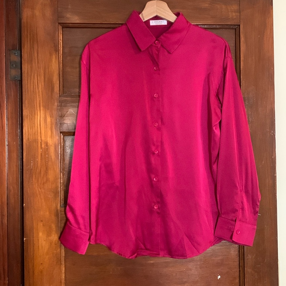 Satin Ling Sleeve Collared Blouse S